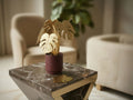 Aurum - Monstera Coaster Set