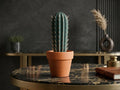 Point Taken - Cactus Toothpick Holder