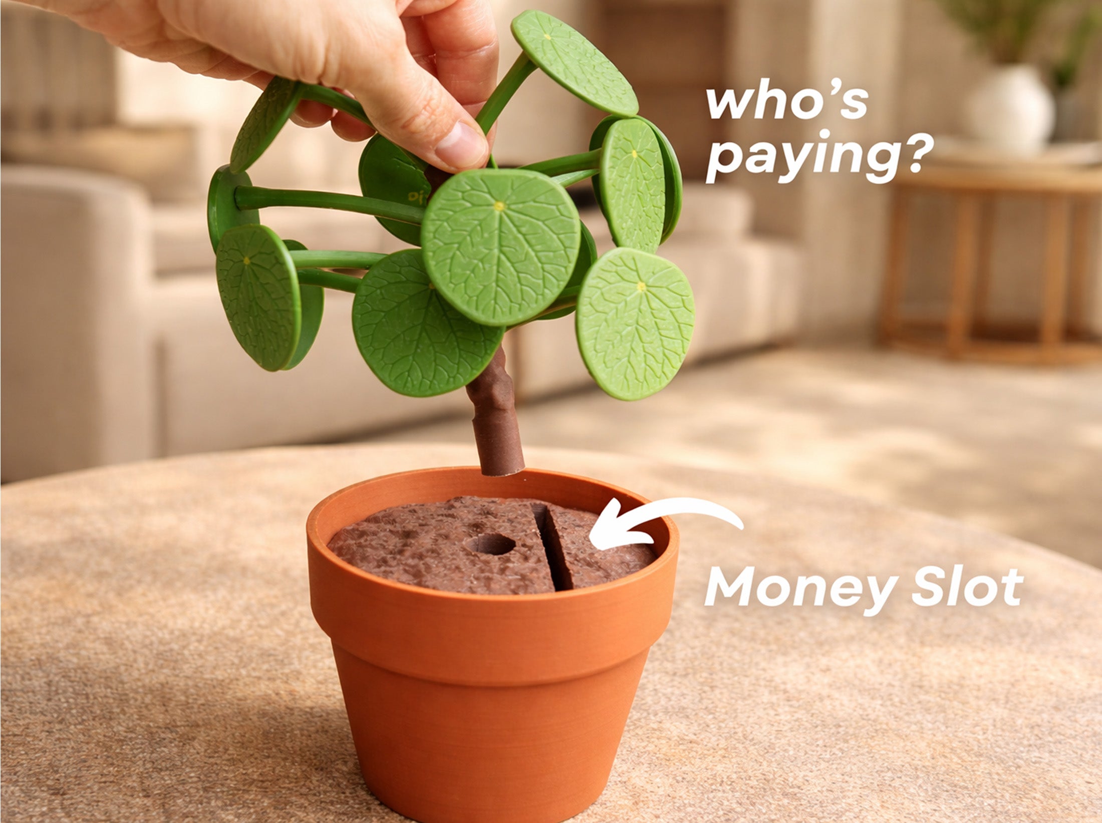 Pot Luck - Food Picker Plant