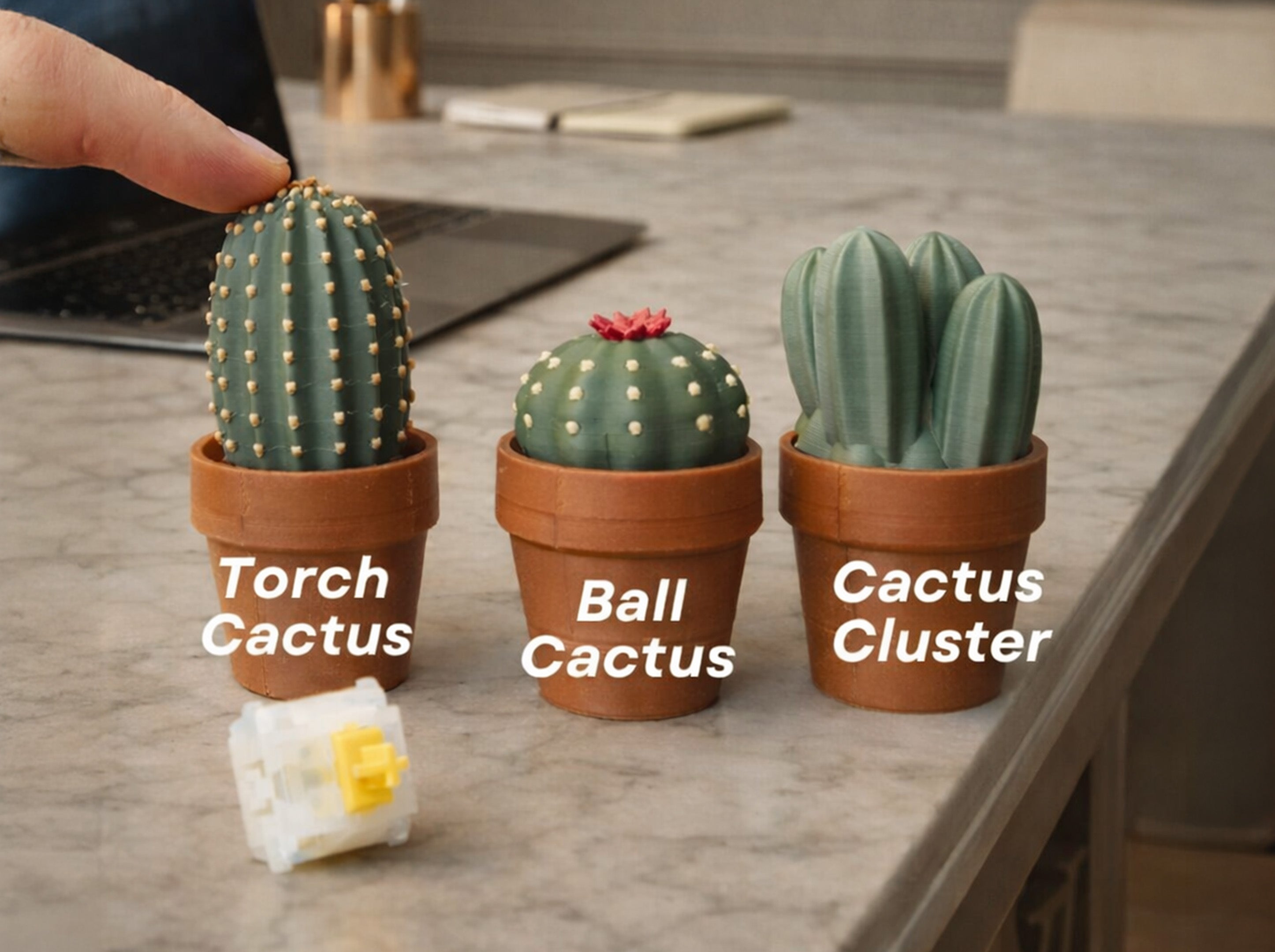 Shortcut - Fidget Cactus