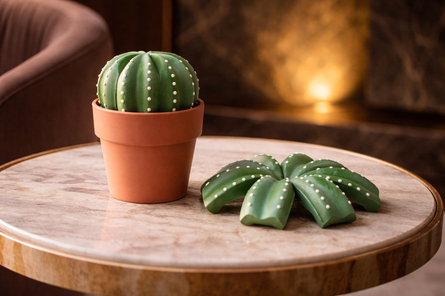 Thick Skin - Cactus Coaster