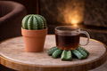 Thick Skin - Cactus Coaster